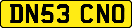 DN53CNO