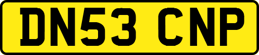 DN53CNP