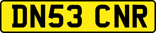 DN53CNR