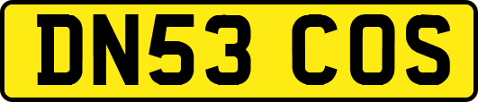 DN53COS