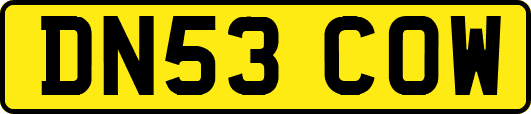 DN53COW