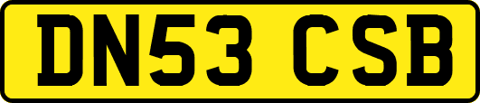 DN53CSB