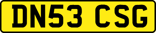 DN53CSG