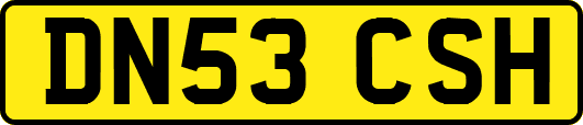 DN53CSH