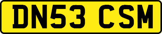 DN53CSM