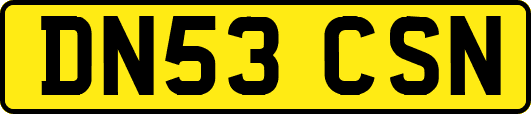 DN53CSN