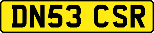 DN53CSR
