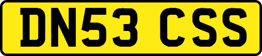 DN53CSS