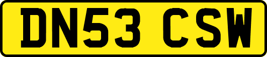 DN53CSW