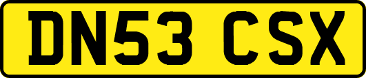DN53CSX