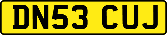 DN53CUJ