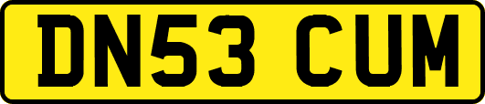 DN53CUM