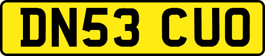 DN53CUO
