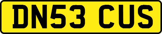 DN53CUS