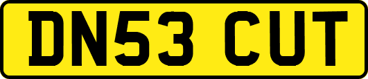 DN53CUT
