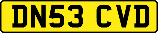 DN53CVD