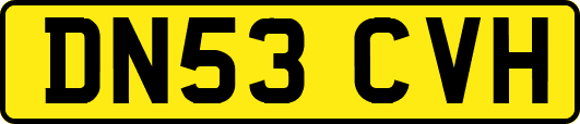 DN53CVH