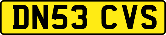 DN53CVS
