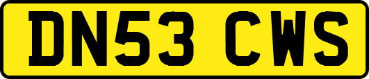 DN53CWS