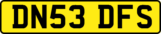 DN53DFS