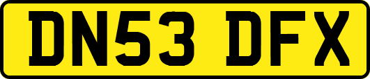 DN53DFX