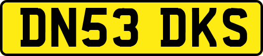 DN53DKS