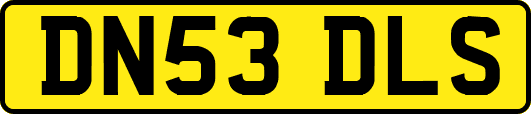 DN53DLS