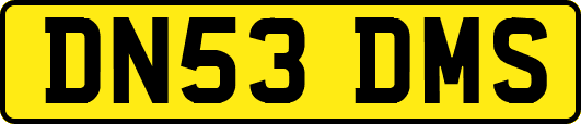 DN53DMS