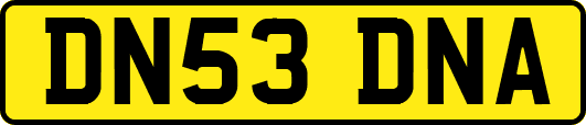 DN53DNA