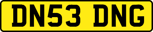 DN53DNG
