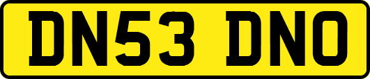 DN53DNO