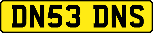 DN53DNS