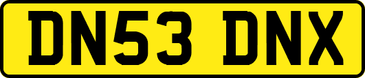 DN53DNX