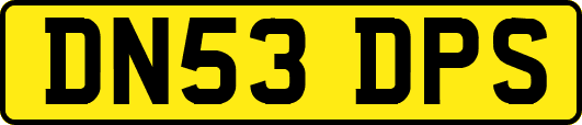 DN53DPS