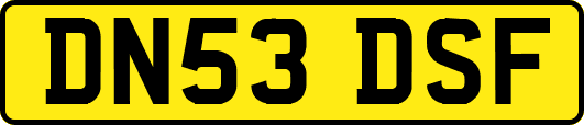 DN53DSF