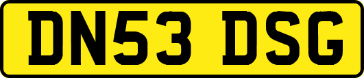 DN53DSG