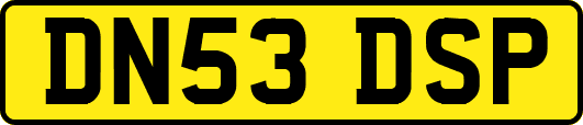DN53DSP