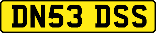 DN53DSS