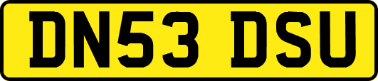 DN53DSU