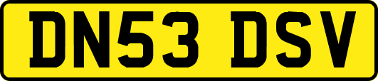 DN53DSV