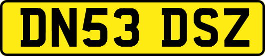 DN53DSZ
