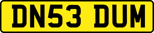 DN53DUM