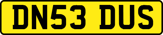 DN53DUS