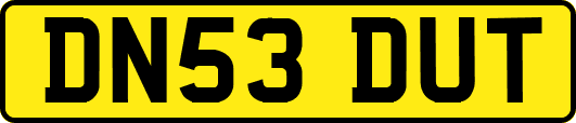 DN53DUT