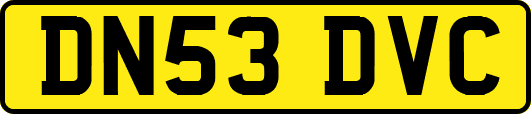 DN53DVC