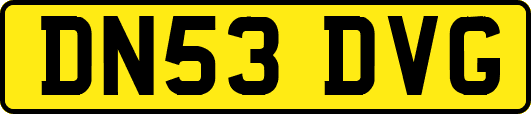 DN53DVG