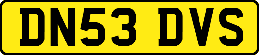 DN53DVS