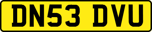 DN53DVU