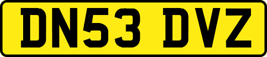 DN53DVZ