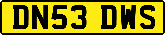 DN53DWS